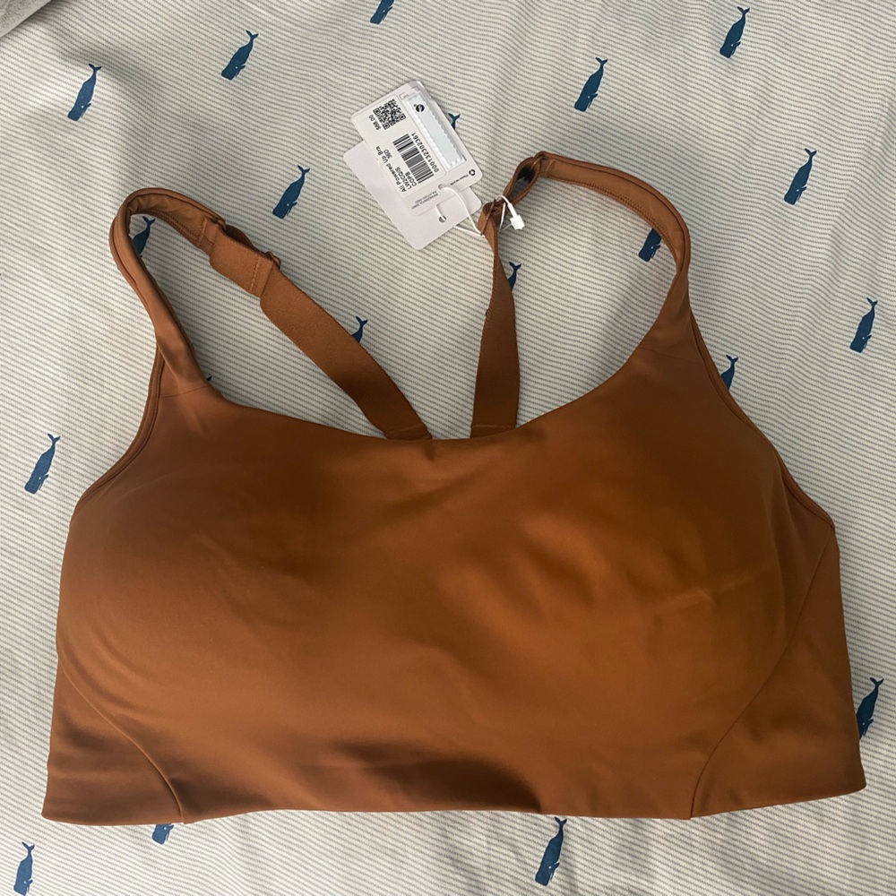 All powered up bra